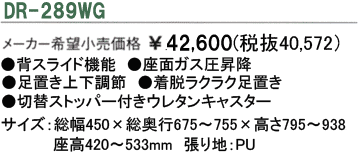 DR-289WG
