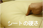 �p�[�\�i���`�F�A�@�t�[�K�̃V�[�g�̍d��