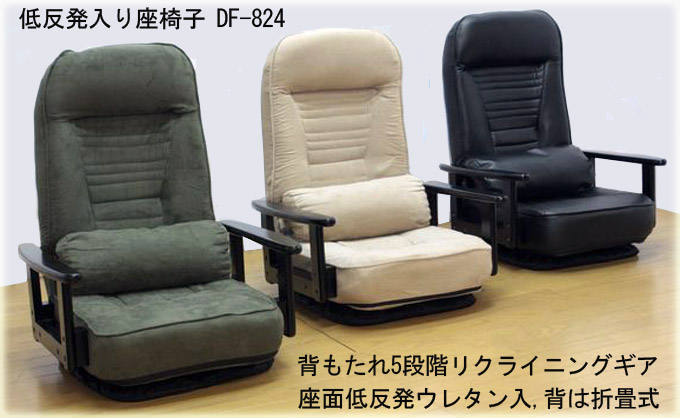 �ᔽ��������֎q DF-824(GR�EBE�EBK)