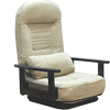 �ᔽ��������֎q DF-824(GR�EBE�EBK)