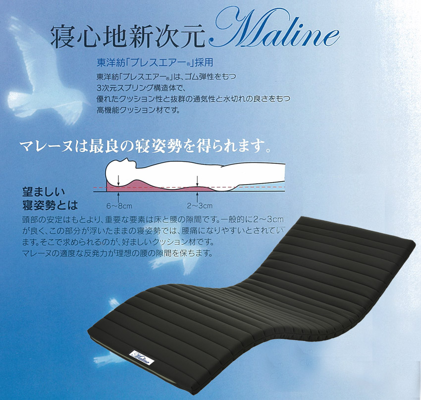 �y�Q�S�n�V���� Maline�z ���m�a�u�v���X�G�A�[�B�v�̗p�B���m�a�u�v���X�G�A�[�B�v�́A�S���e�������R�����X�v�����O�\���̂ŁA�D�ꂽ�N�b�V�������Ɣ��Q�̒ʋC���Ɛ��؂�̗ǂ��������@�\�N�b�V�����ނł��B�}���[�k�͍ŗǂ̐Q�p���𓾂��܂��B�]�܂����Q�p���Ƃ́A�����̈���͂��Ƃ��A�d�v�ȗv�f�͏��ƍ��̌��Ԃł��B��ʓI�ɂQ�`�Rcm���ǂ��A���̕������������܂܂̐Q�p���ł́A���ɂɂȂ�₷���Ƃ���Ă��܂��B�����ŋ��߂���̂��A�D�܂����N�b�V�����ނł��B�}���[�k�̓K�x�Ȕ����͂����z�̍��̌��Ԃ�ۂ��܂��B