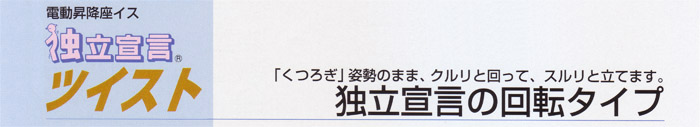 �Ɨ��錾 �c�C�X�g