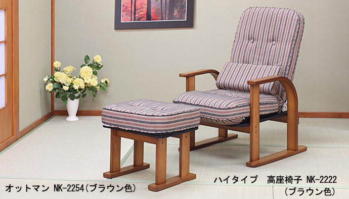 �n�C�^�C�v�@�����֎q NK-2222�ƃI�b�g�}�� NK-2254(�u���E���F)