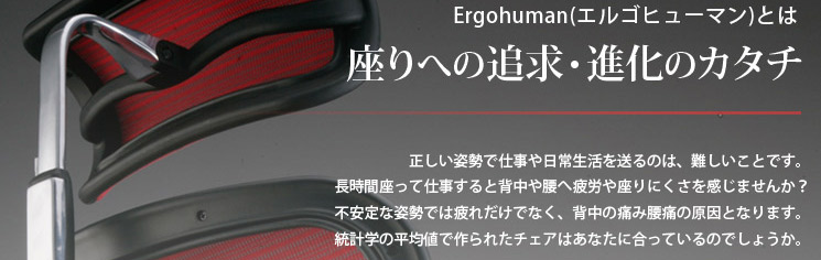 Ergohuman エルゴヒューマン