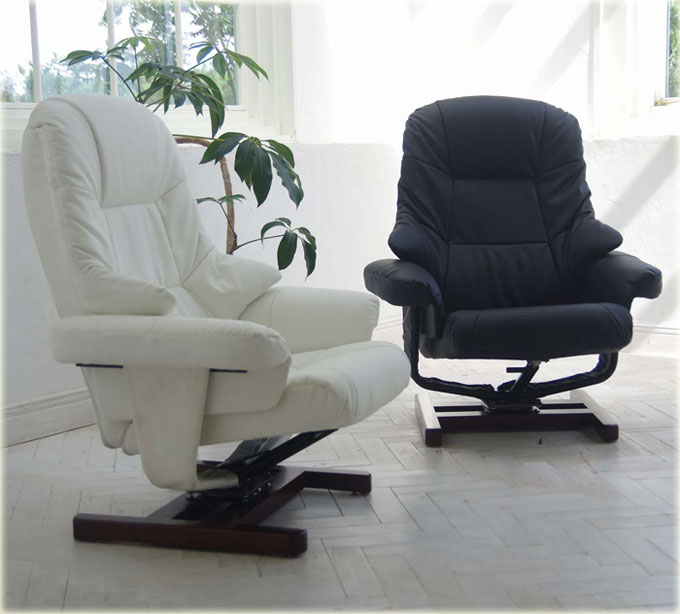 �L���X�^�[�t�����֎q YS-1798
