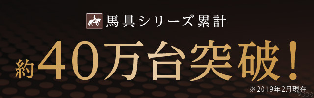 馬具マットプレミアム 骨盤矯正 椅子 座椅子 腰痛 クッション 姿勢矯正 