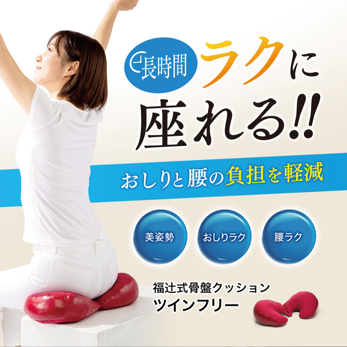 福辻式骨盤クッション ツインフリーを激安で販売する京都の村田家具