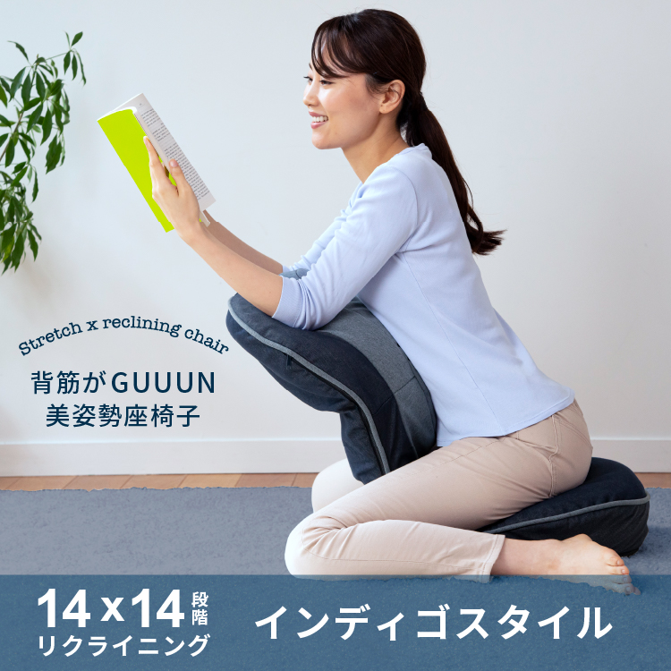 背筋がGUUUN美姿勢座椅子 インディゴスタイル PROIDEA プロイデア