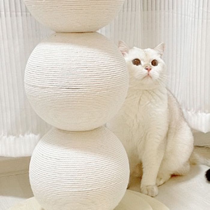 ネコちゃんのネイルケア♪キャットスクラッチャー CAT-SCR