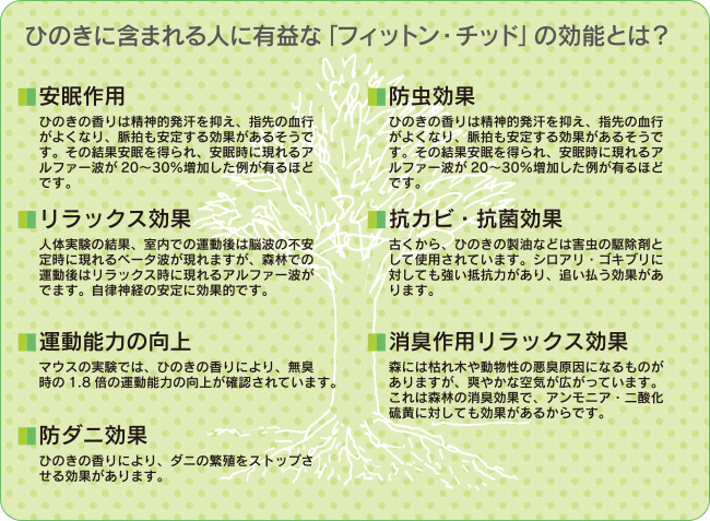 ひのきに含まれる人に有益な「フイットン・チッド」の効能とは?　□安眠作用　□防虫効果　□リラックス効果　□抗カビ・抗菌効果　□運動能力の向上　□消臭作用リラックス効果　□防ダニ効果