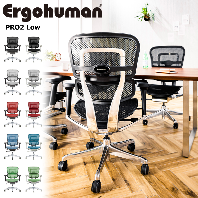 オフィスチェア エルゴヒューマン プロ2 ロータイプ DR 新基盤 Ergohuman PRO2 Low EHP2-LAM-DR 在宅 リモート ヘッドレスト無
